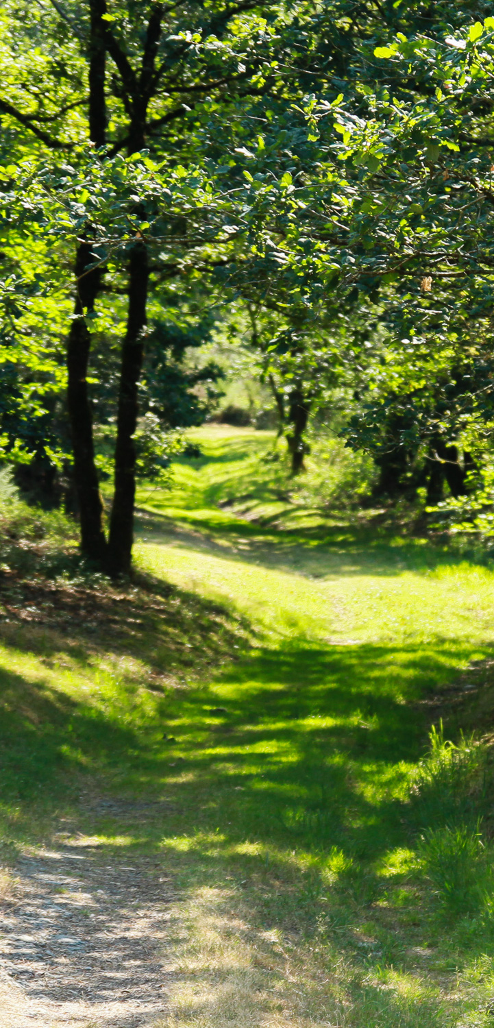 LA BELLE JEANNETTE chemin balade